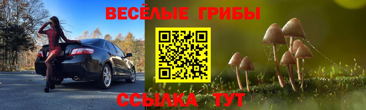 Галлюциногенные грибы Psilocybe  Вход с VPN  Рыбинск 